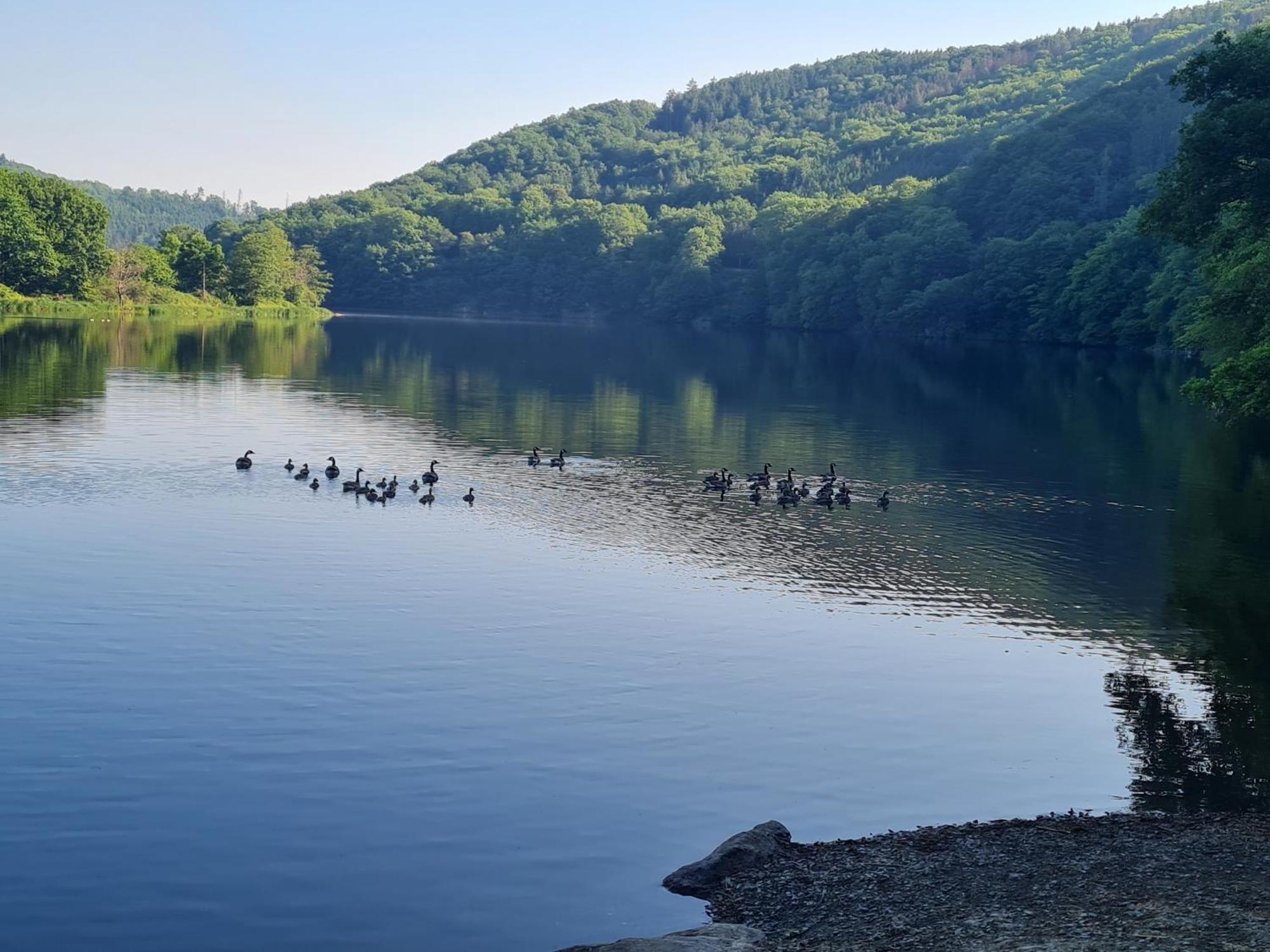 Ferienwohnung Am Rursee -Wohnung 2 Simmerath Szoba fotó