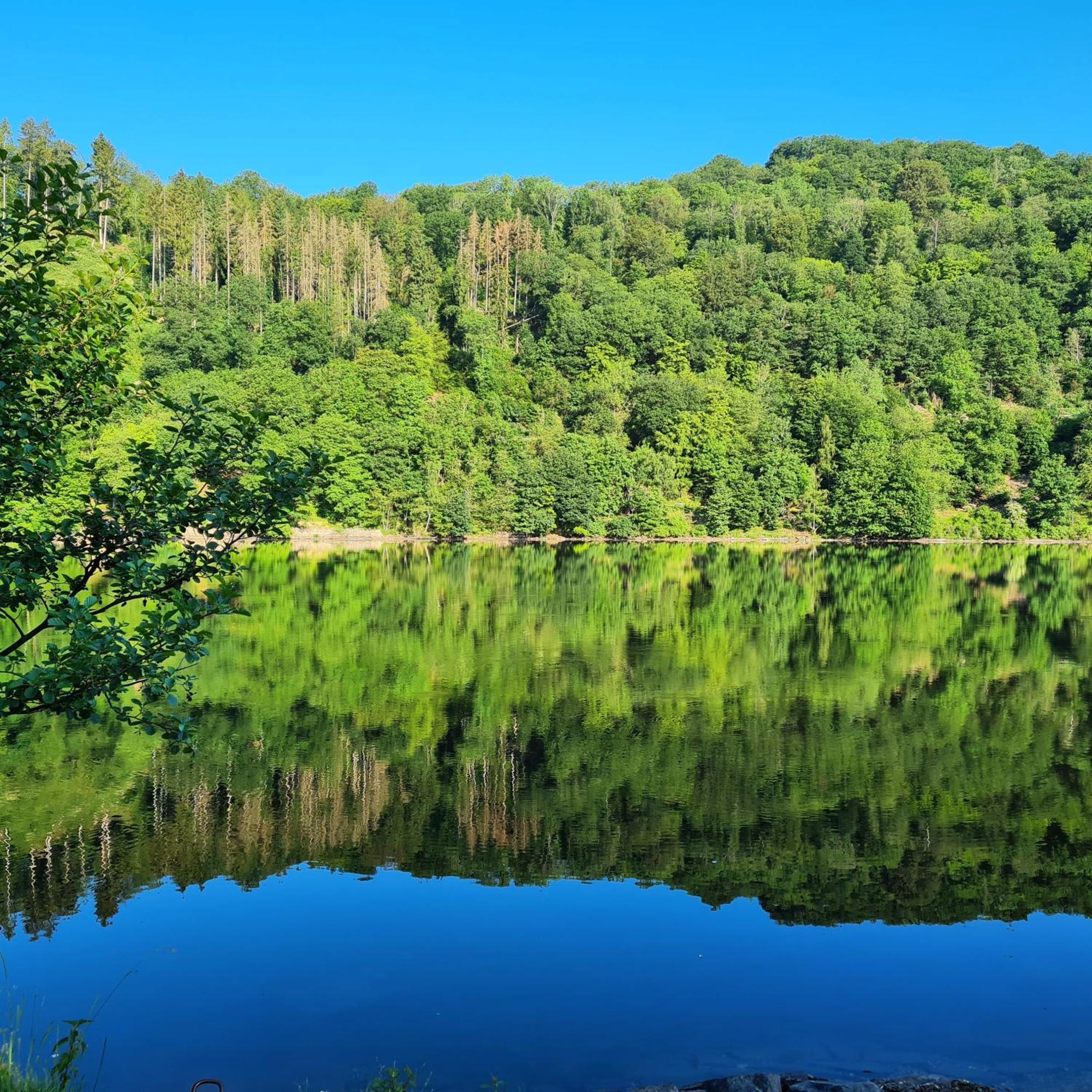 Ferienwohnung Am Rursee -Wohnung 2 Simmerath Szoba fotó